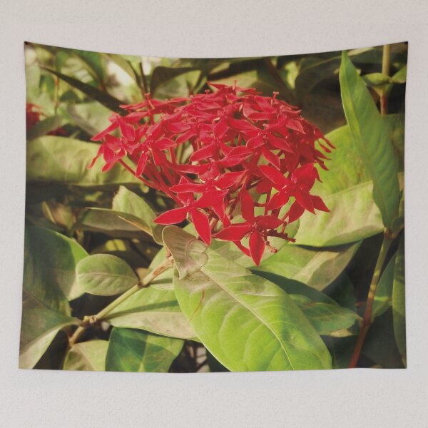 Aperçu de l'œuvre Belle fleur rouge avec feuille verte créée et vendue par MalabisAlUmar.