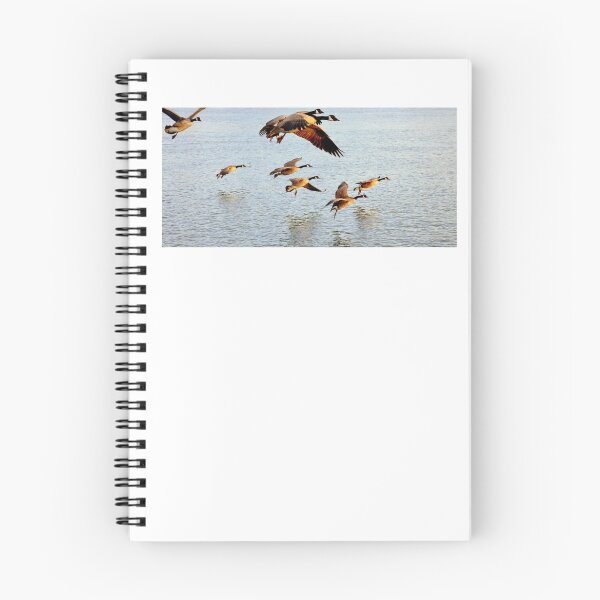 Item preview, Arrival designed and sold by Laurie Minor.