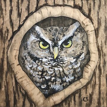 Artwork thumbnail, Eastern Screech Owl by skidgelstudios