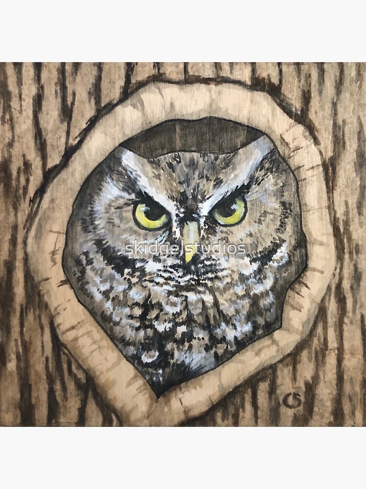 Thumbnail 3 of 3, Sticker, Eastern Screech Owl designed and sold by skidgelstudios.
