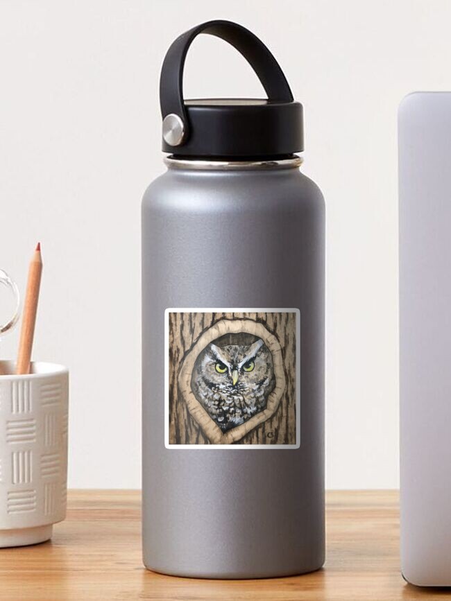 Thumbnail 1 of 3, Sticker, Eastern Screech Owl designed and sold by skidgelstudios.