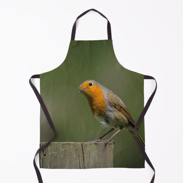 Item preview, Robin Red Breast designed and sold by SMartin.