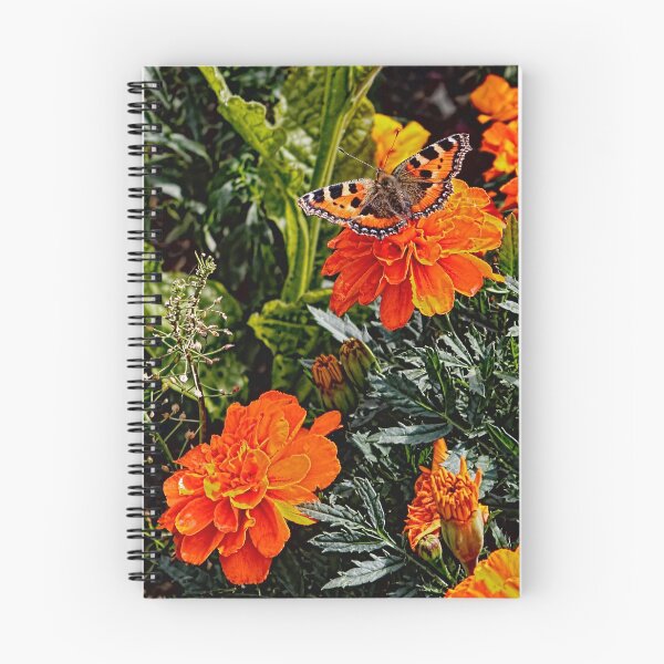 Item preview, The Small Tortoiseshell Butterfly on a Marigold designed and sold by Avril Harris.