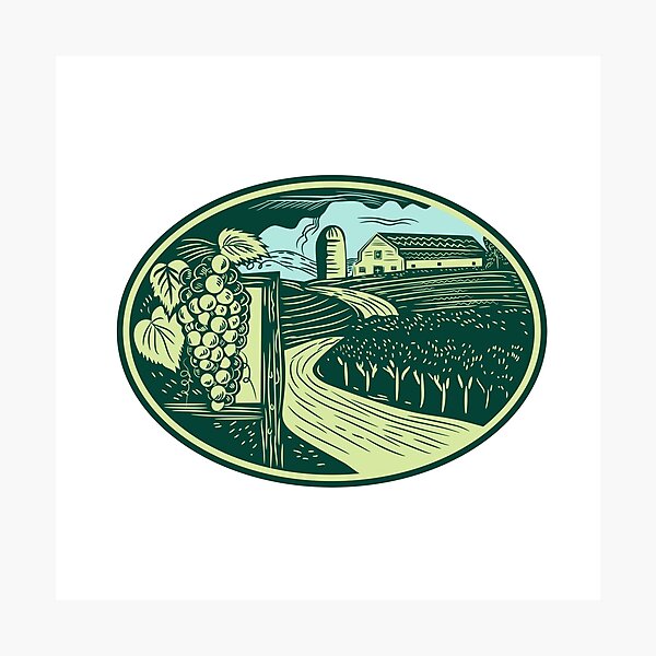 Item preview, Grapes Vineyard Winery Oval Woodcut designed and sold by patrimonio.