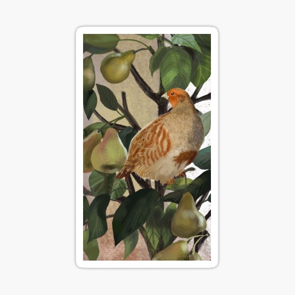 Partridge in a Pear Tree Sticker