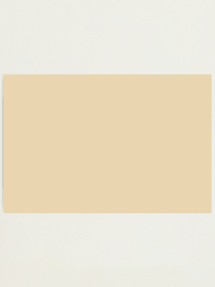 Neutral Light Yellow Cream Solid Color Pairs To Sherwin Williams Convivial Yellow Sw 6393 5023