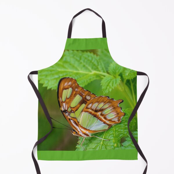 Item preview, Perched designed and sold by Shelley Wall.