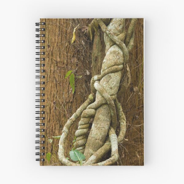 Item preview, Vine designed and sold by Werner Padarin.