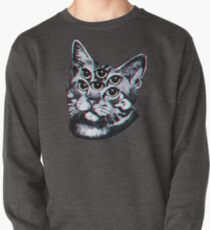 Psychedelic Cat (3D vintage effect) Pullover
