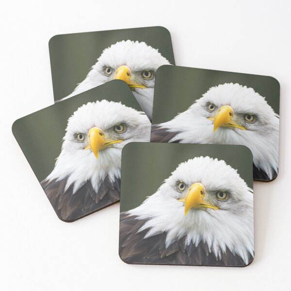 Item preview, Bald Eagle - Looking Bemused designed and sold by dvlcom.