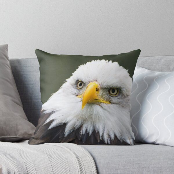 Item preview, Bald Eagle - Looking Bemused designed and sold by dvlcom.