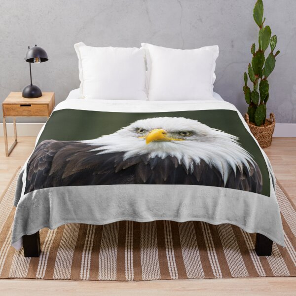 Item preview, Bald Eagle - Looking Bemused designed and sold by dvlcom.