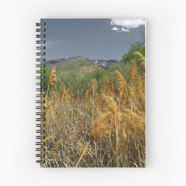 Item preview, Scenic forest and mountain nature designed and sold by Ventures1.