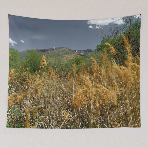 Item preview, Scenic forest and mountain nature designed and sold by Ventures1.