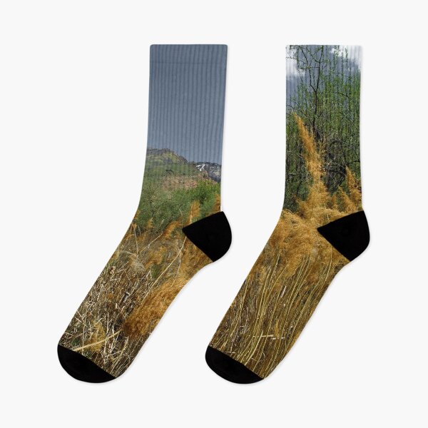 Item preview, Scenic forest and mountain nature designed and sold by Ventures1.