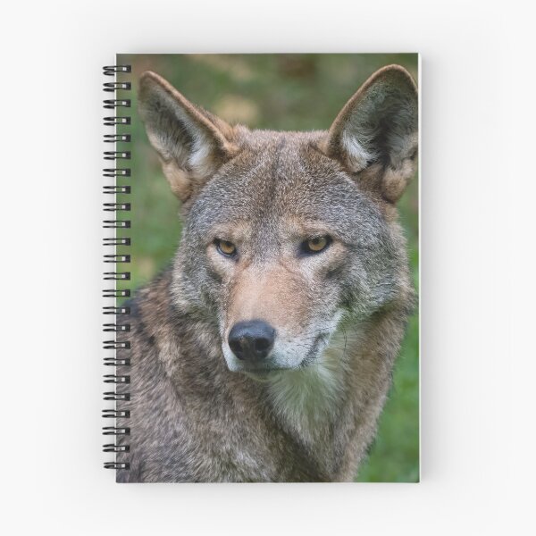 Item preview, Red Wolf Gaze designed and sold by Karen Peron.