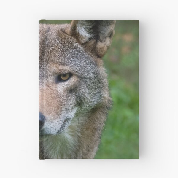 Item preview, Red Wolf Gaze designed and sold by Karen Peron.