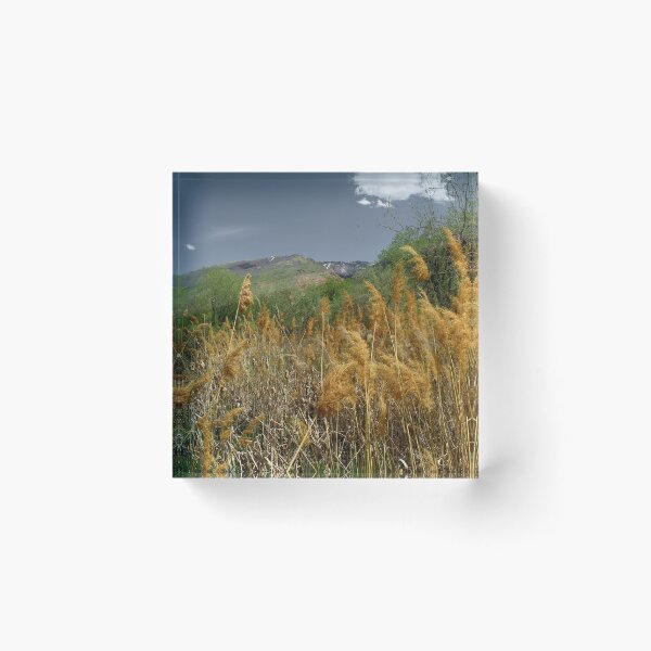 Item preview, Scenic forest and mountain nature designed and sold by Ventures1.