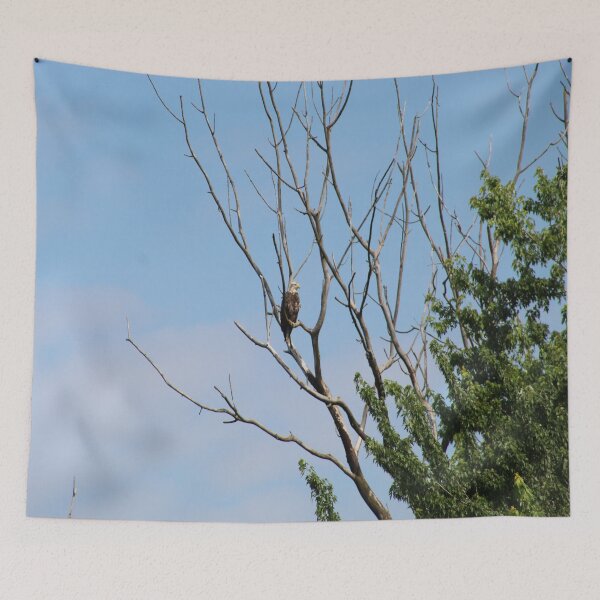 Item preview, Bald Eagle designed and sold by William Franklin-Cromwell.