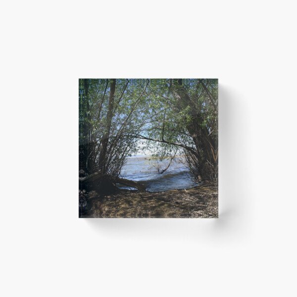 Item preview, Scenic forest and mountain nature designed and sold by Ventures1.