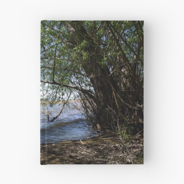 Item preview, Scenic forest and mountain nature designed and sold by Ventures1.