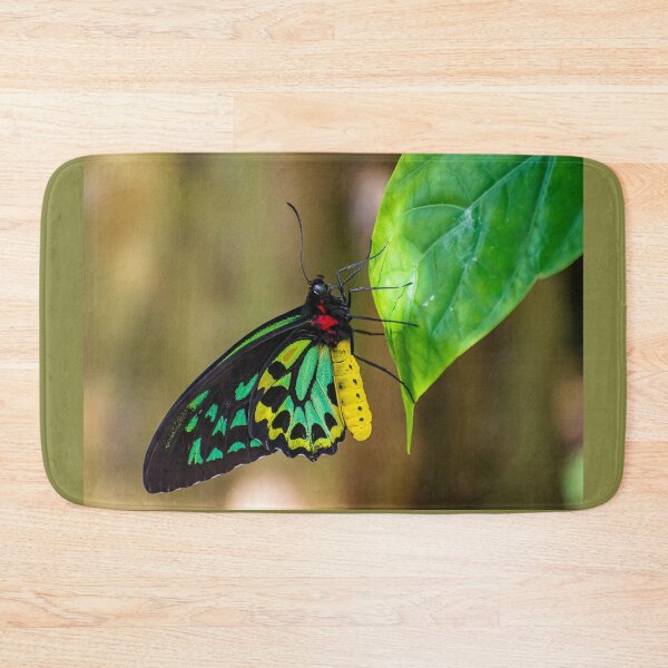 Item preview, Spotlight designed and sold by Shelley Wall.