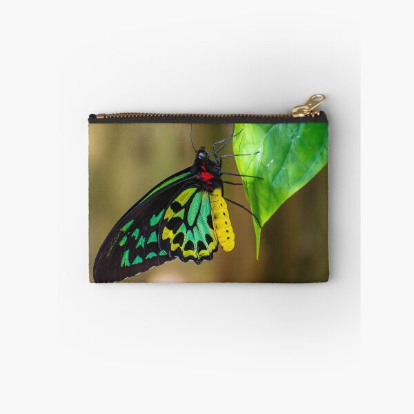 Item preview, Spotlight designed and sold by Shelley Wall.