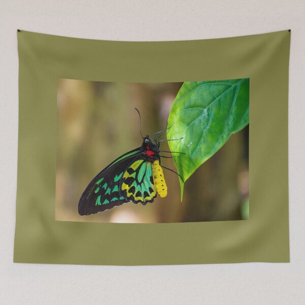 Item preview, Spotlight designed and sold by Shelley Wall.