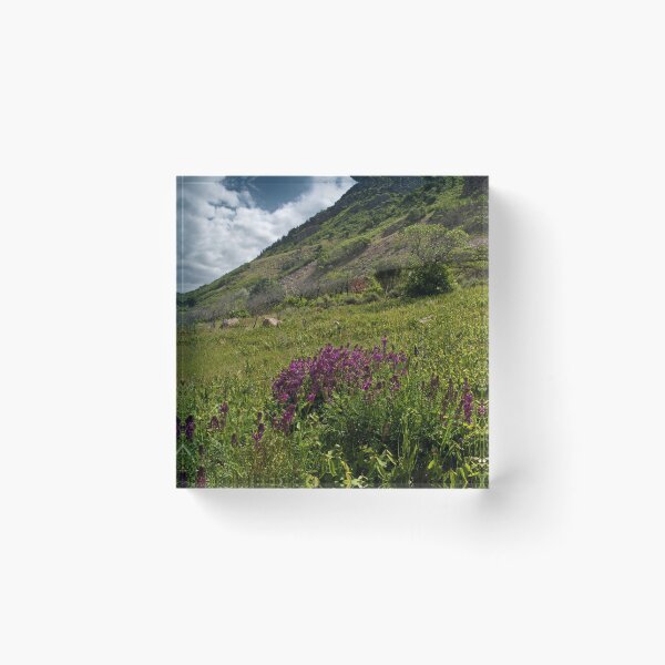 Item preview, Scenic forest and mountain nature designed and sold by Ventures1.