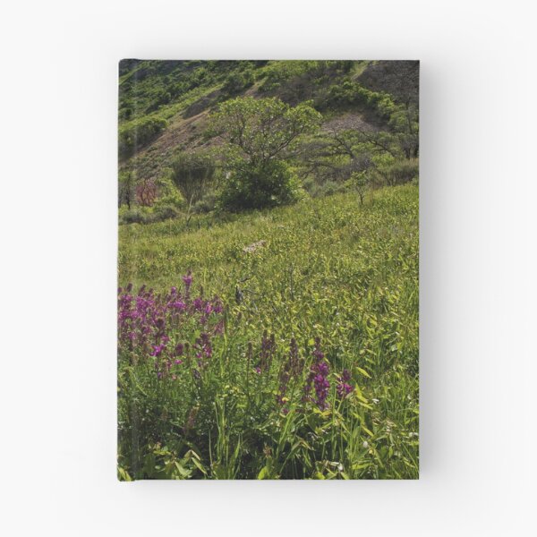 Item preview, Scenic forest and mountain nature designed and sold by Ventures1.