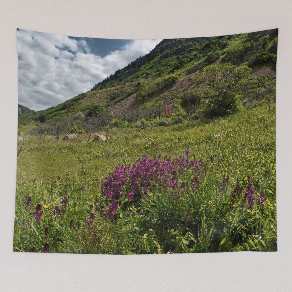 Item preview, Scenic forest and mountain nature designed and sold by Ventures1.