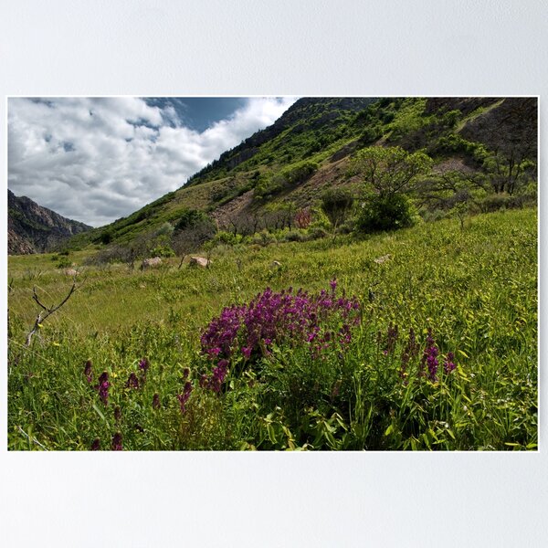 Item preview, Scenic forest and mountain nature designed and sold by Ventures1.