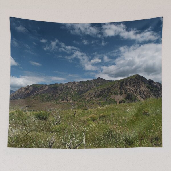 Item preview, Scenic forest and mountain nature designed and sold by Ventures1.