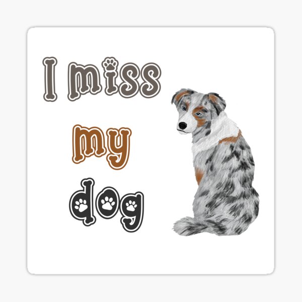 Australian Shepherd Awesome Gifts Merchandise Redbubble