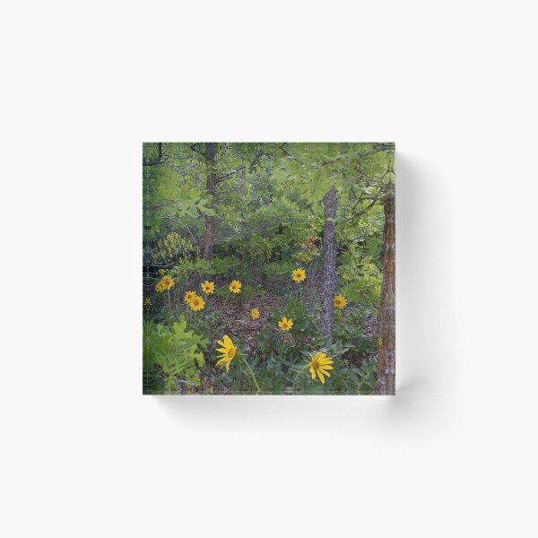Item preview, Scenic forest and mountain nature designed and sold by Ventures1.