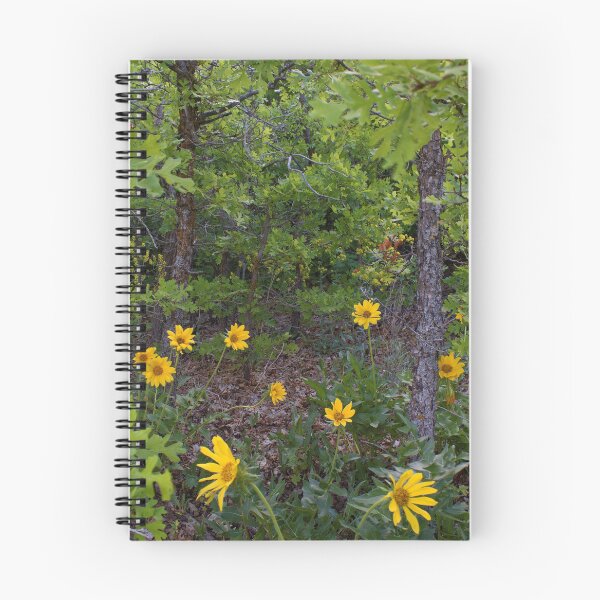 Item preview, Scenic forest and mountain nature designed and sold by Ventures1.