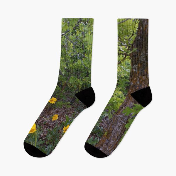 Item preview, Scenic forest and mountain nature designed and sold by Ventures1.