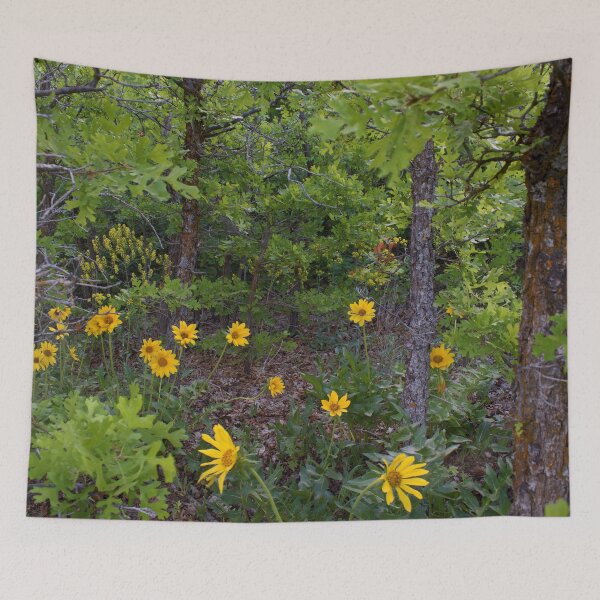 Item preview, Scenic forest and mountain nature designed and sold by Ventures1.
