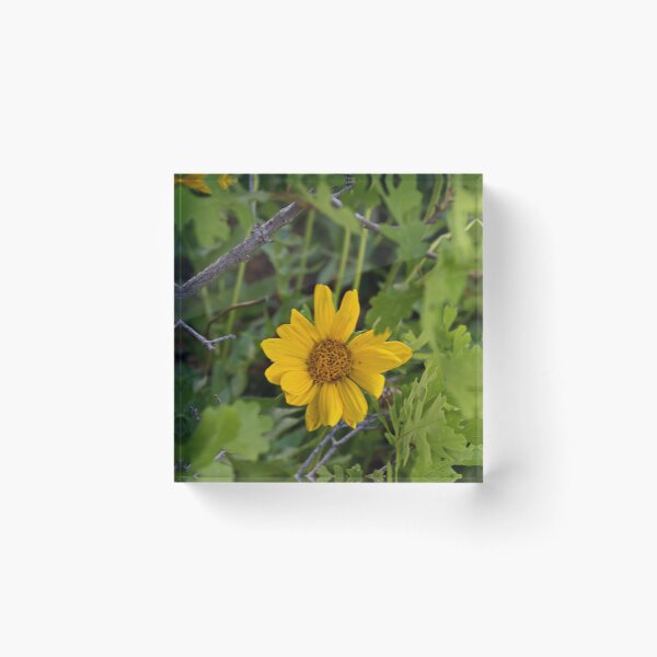 Item preview, Scenic forest and mountain nature designed and sold by Ventures1.