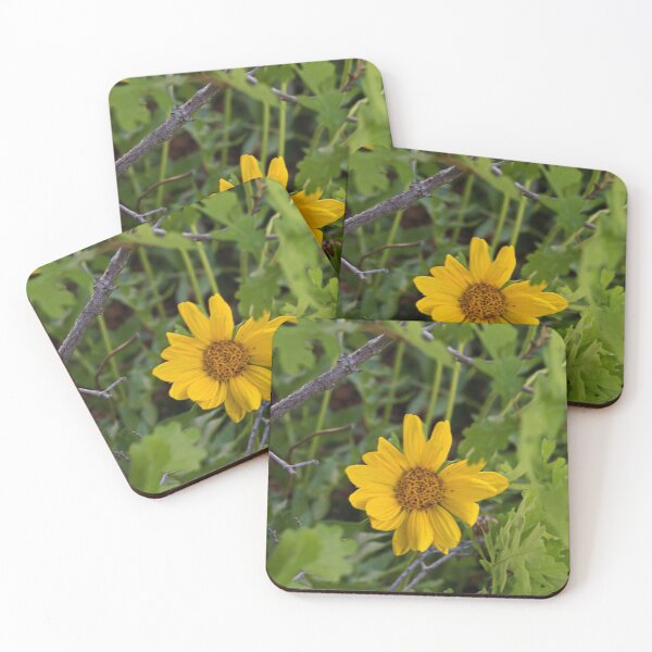 Item preview, Scenic forest and mountain nature designed and sold by Ventures1.
