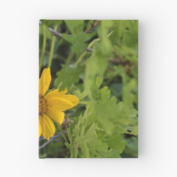 Item preview, Scenic forest and mountain nature designed and sold by Ventures1.