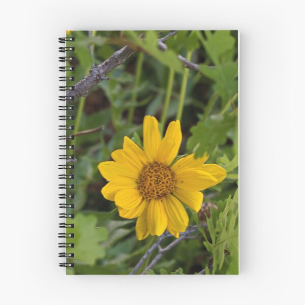 Item preview, Scenic forest and mountain nature designed and sold by Ventures1.