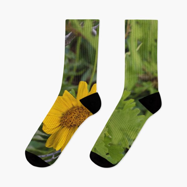 Item preview, Scenic forest and mountain nature designed and sold by Ventures1.