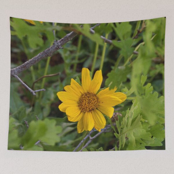 Item preview, Scenic forest and mountain nature designed and sold by Ventures1.