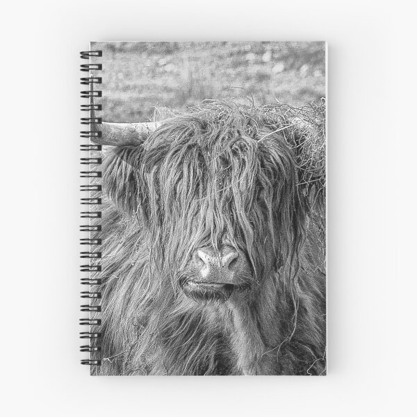 Item preview, Black and white Scottish Highland cow designed and sold by HaleyRedshaw.