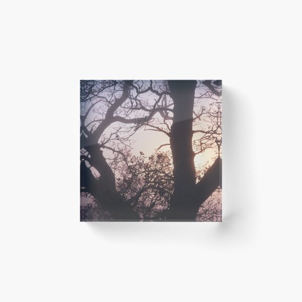 Item preview, Foggy Tree designed and sold by ShinyPhoto.