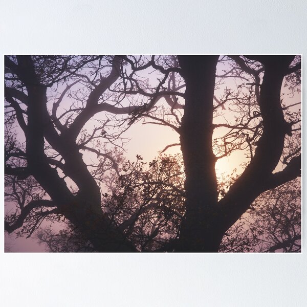 Item preview, Foggy Tree designed and sold by ShinyPhoto.