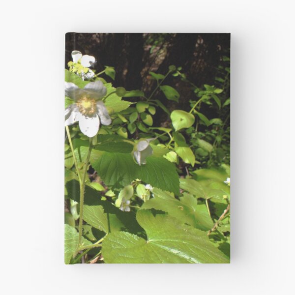 Item preview, Scenic forest and mountain nature designed and sold by Ventures1.