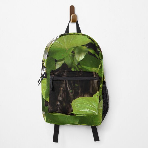 Item preview, Scenic forest and mountain nature designed and sold by Ventures1.
