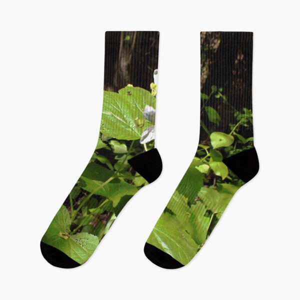 Item preview, Scenic forest and mountain nature designed and sold by Ventures1.